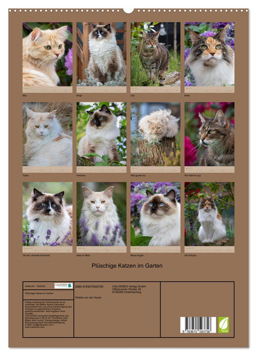 Chats en peluche dans le jardin (Calendrier mural CALVENDO Premium 2024) 