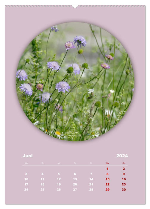 Rundherum Natur (CALVENDO Wandkalender 2024)