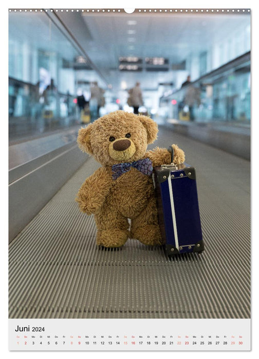 Travelling Teddy liebt es Bunt (CALVENDO Wandkalender 2024)