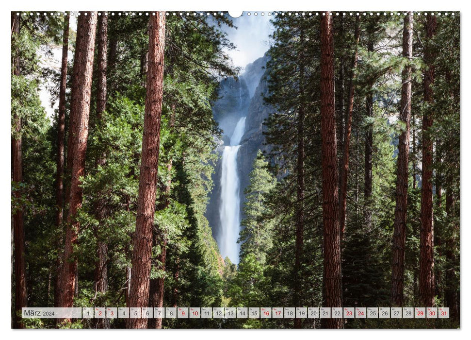 Wälder der Welt (CALVENDO Wandkalender 2024)