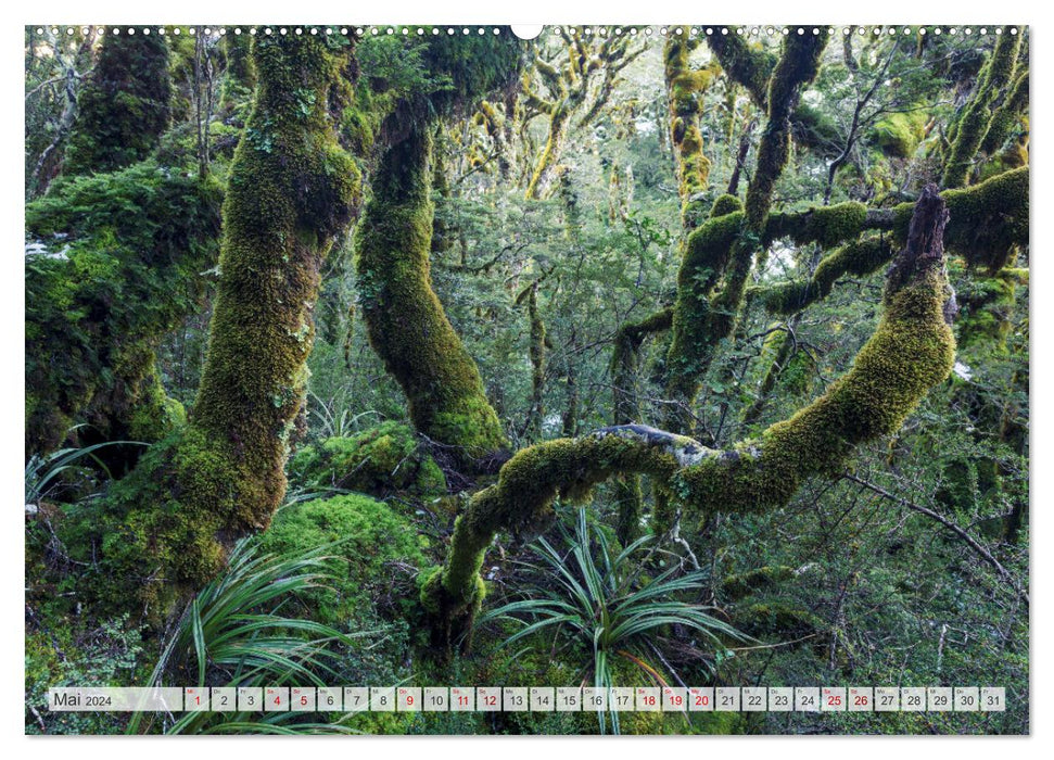 Forêts du monde (Calendrier mural CALVENDO 2024) 