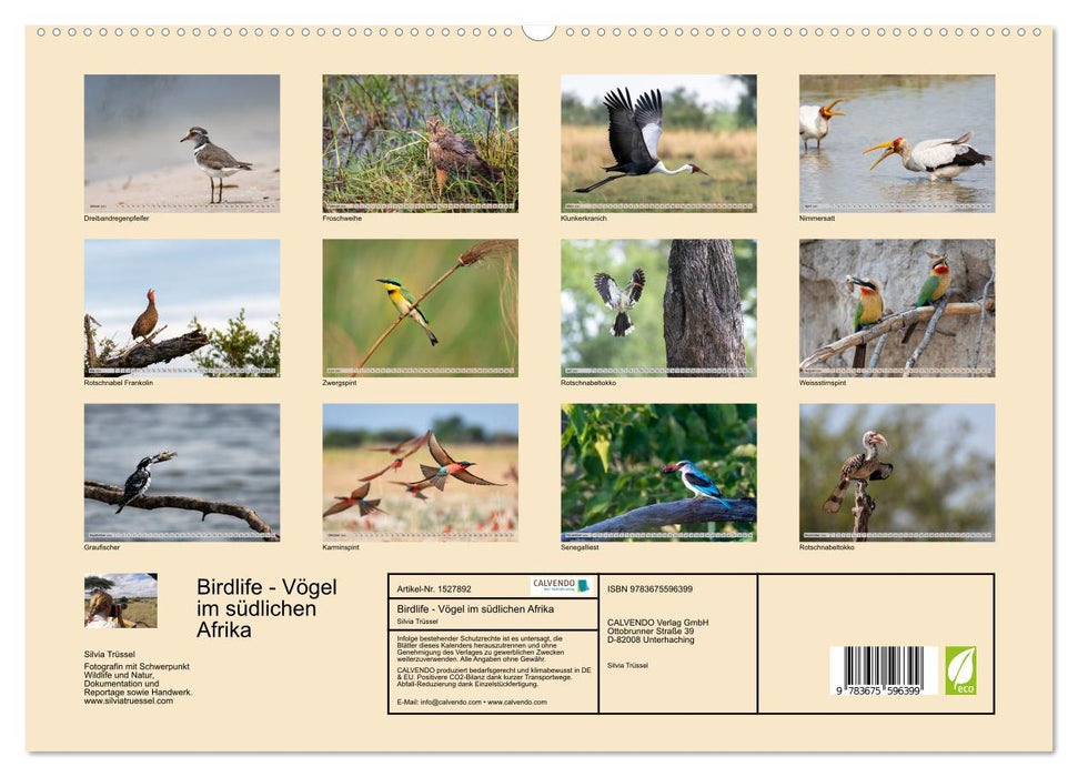 Birdlife - Birds in Southern Africa (CALVENDO Premium Wall Calendar 2024) 