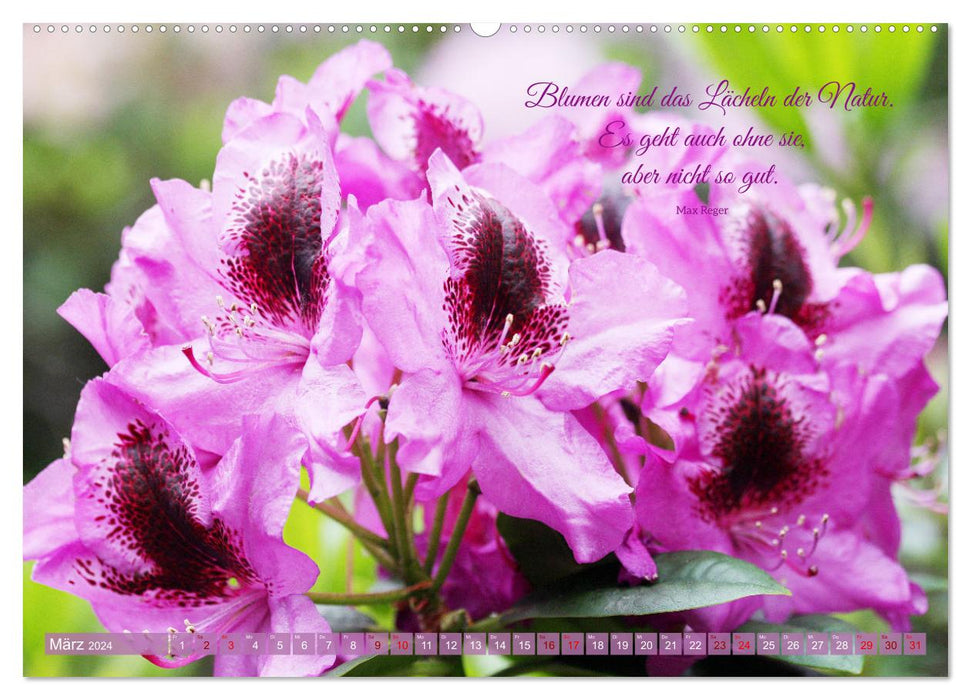 Rhododendren und Poesie (CALVENDO Premium Wandkalender 2024)