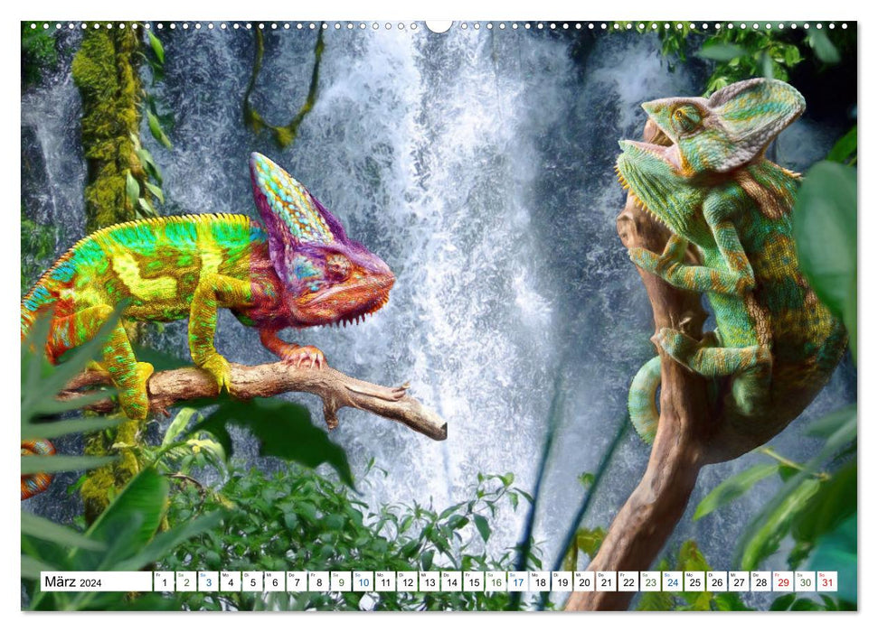 Humor im Dschungel (CALVENDO Premium Wandkalender 2024)