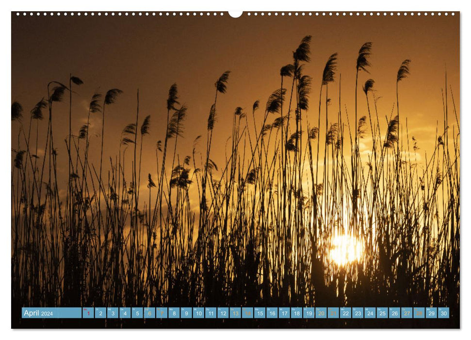Desire for the Danube Delta (CALVENDO Premium Wall Calendar 2024) 