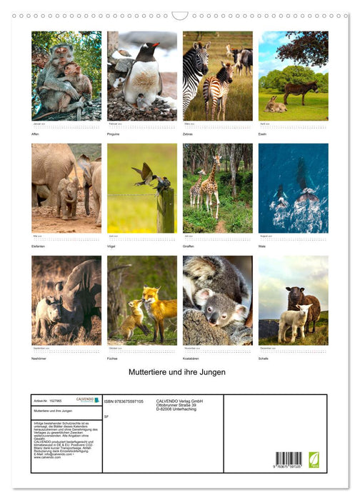 Mother animals and their young (CALVENDO wall calendar 2024) 