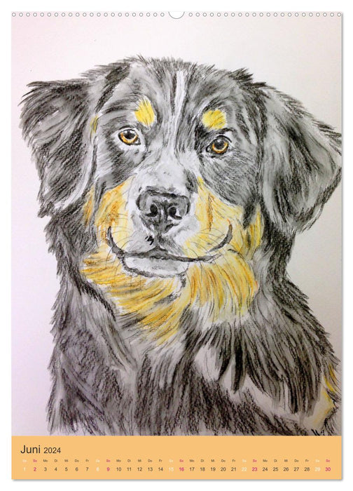 Hunde - Bezaubernde Portraitzeichnungen (CALVENDO Premium Wandkalender 2024)