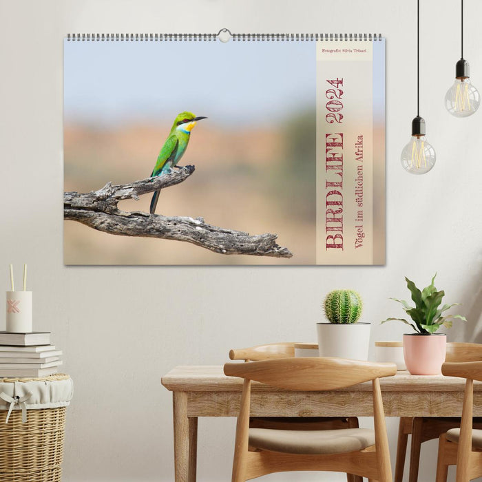 Birdlife - Birds in Southern Africa (CALVENDO wall calendar 2024) 