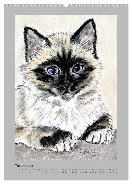 PortraiTierART Velvet Paws (CALVENDO Premium Wall Calendar 2024) 