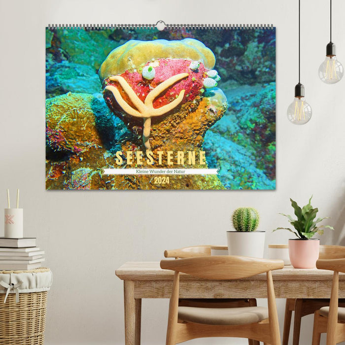 Étoile de mer - Petites merveilles de la nature (Calendrier mural CALVENDO 2024) 