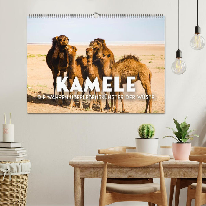 Kamele - die wahren Überlebenskünstler der Wüste. (CALVENDO Wandkalender 2024)