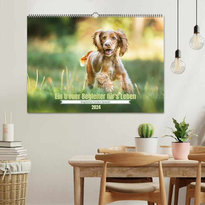 Englischer Cocker Spaniel (CALVENDO Wandkalender 2024)