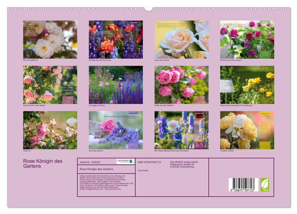 Rose Königin des Gartens (CALVENDO Premium Wandkalender 2024)