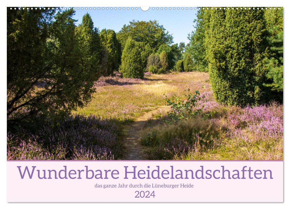 Wonderful heath landscapes (CALVENDO wall calendar 2024) 