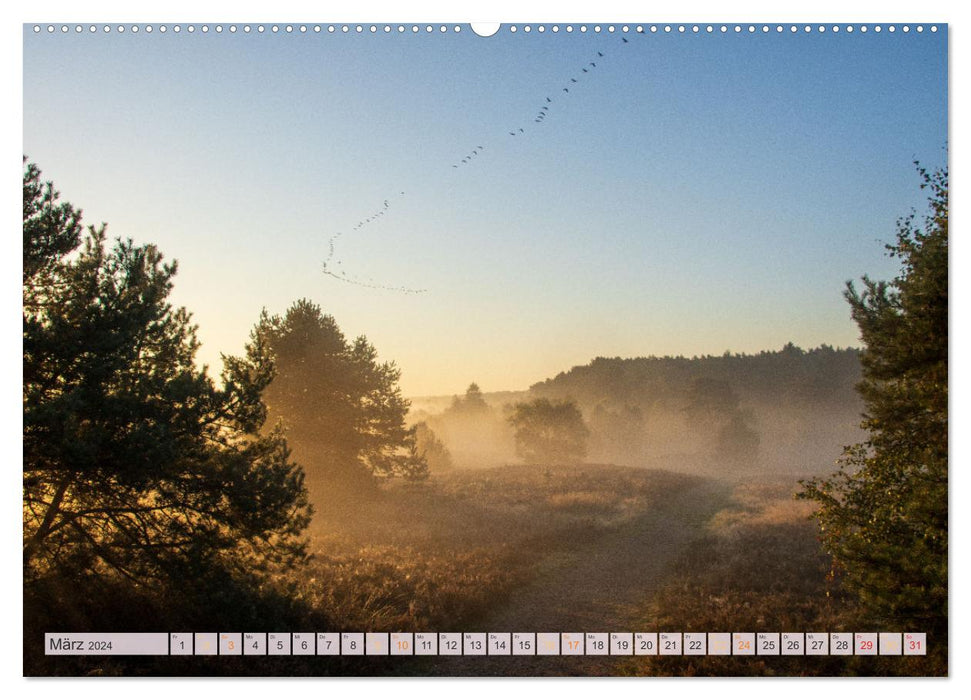 Wonderful heath landscapes (CALVENDO wall calendar 2024) 