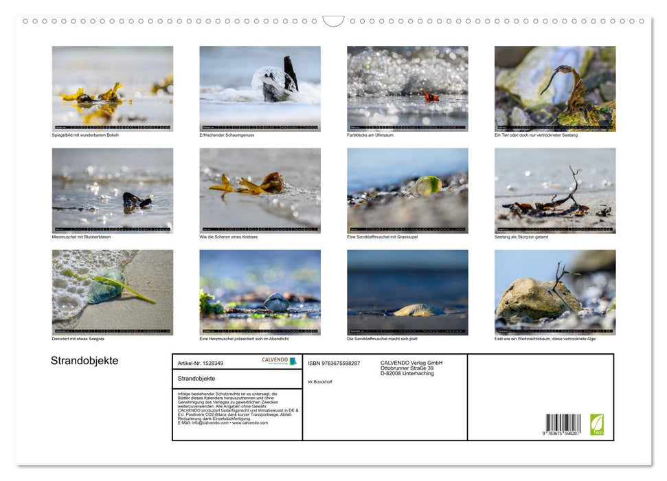 Strandobjekte (CALVENDO Wandkalender 2024)