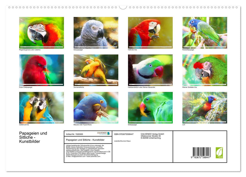 Papageien und Sittiche - Kunstbilder (CALVENDO Premium Wandkalender 2024)