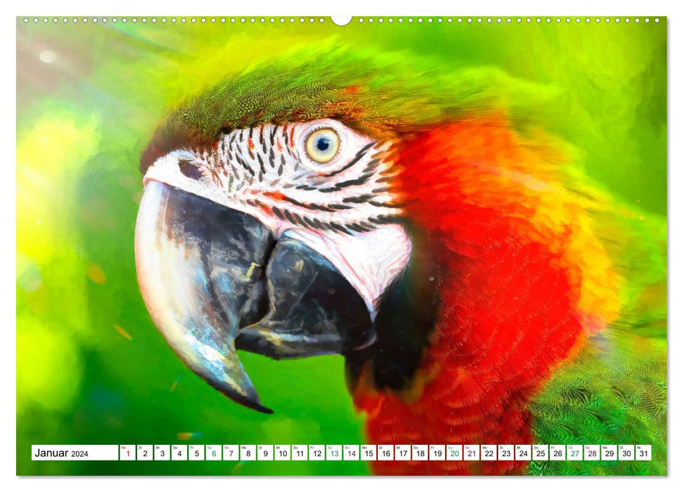 Parrots and Parakeets - Art Pictures (CALVENDO Premium Wall Calendar 2024) 