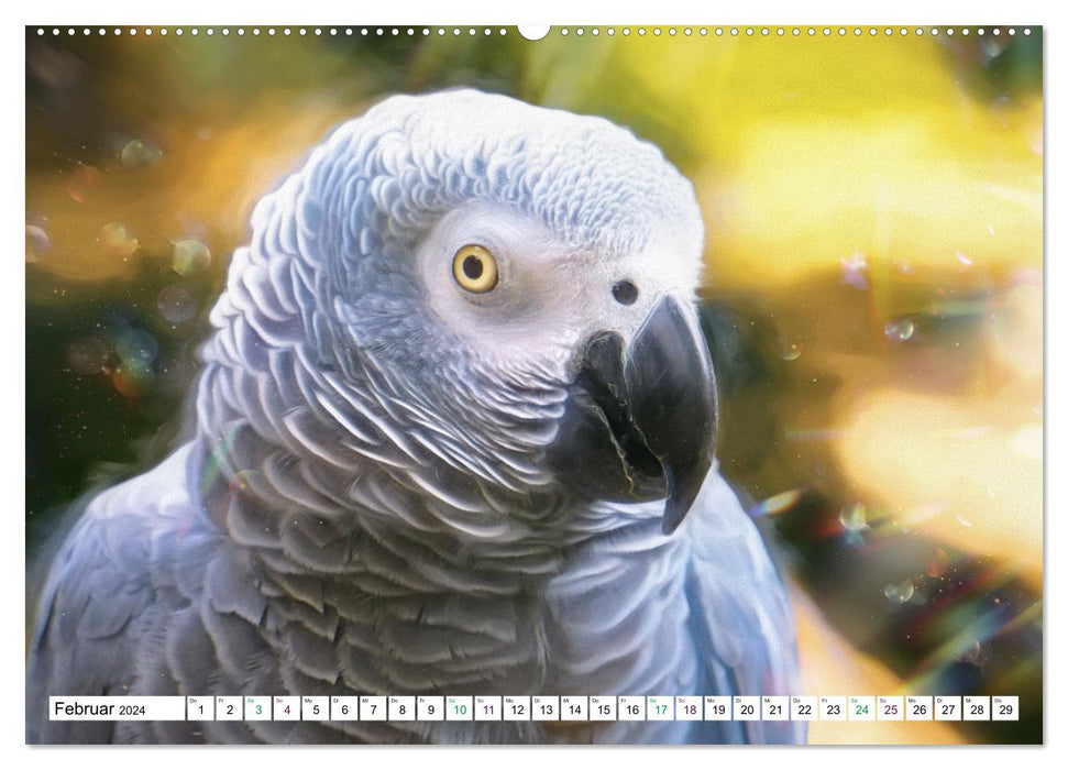 Papageien und Sittiche - Kunstbilder (CALVENDO Premium Wandkalender 2024)