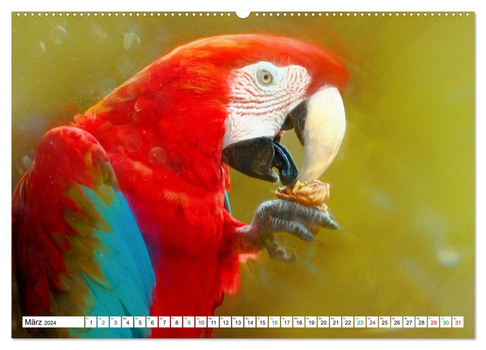 Parrots and Parakeets - Art Pictures (CALVENDO Premium Wall Calendar 2024) 