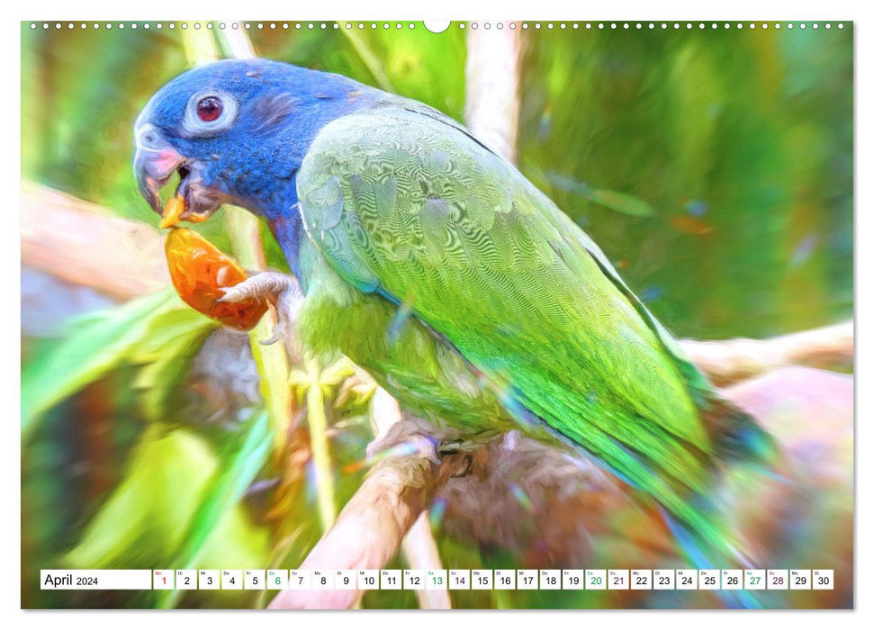 Parrots and Parakeets - Art Pictures (CALVENDO Premium Wall Calendar 2024) 