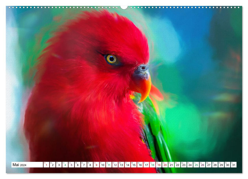 Parrots and Parakeets - Art Pictures (CALVENDO Premium Wall Calendar 2024) 