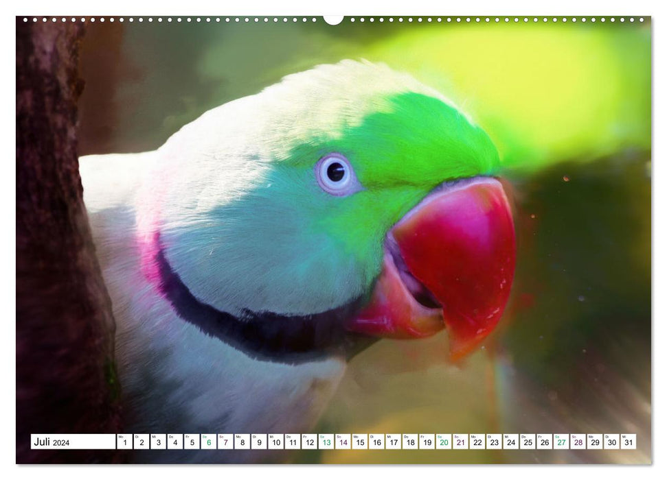 Parrots and Parakeets - Art Pictures (CALVENDO Premium Wall Calendar 2024) 