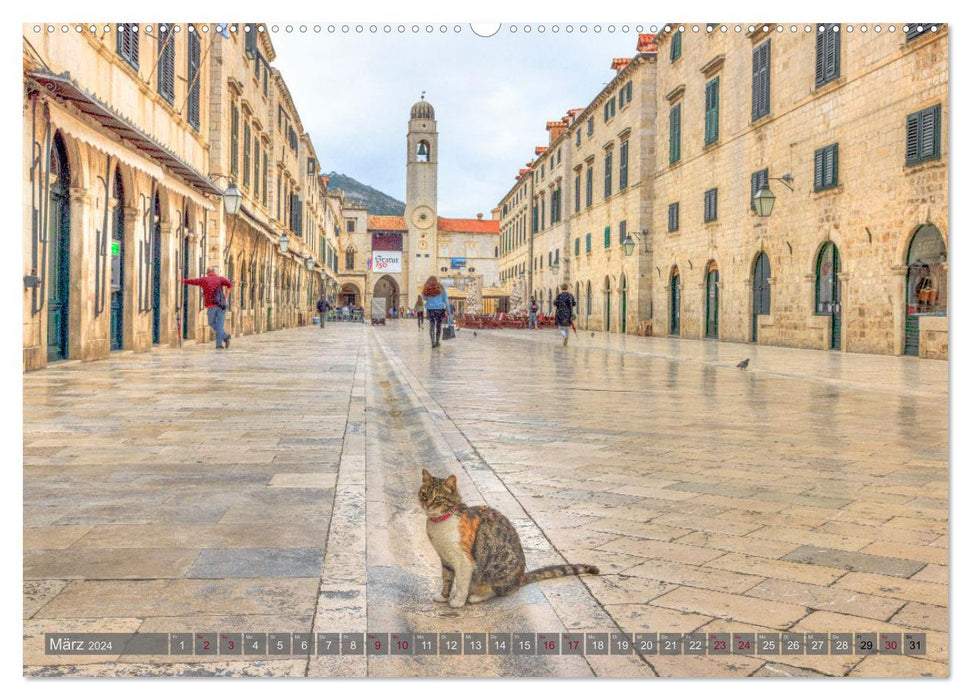 Dubrovnik - Stolze Schönheit der Dalmatischen Küste (CALVENDO Premium Wandkalender 2024)