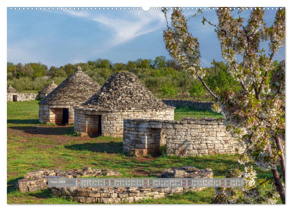 Istria - The green oasis of the northern Adriatic. (CALVENDO Premium Wall Calendar 2024) 