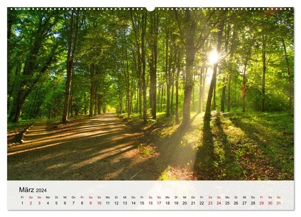 France's natural beauties (CALVENDO Premium Wall Calendar 2024) 