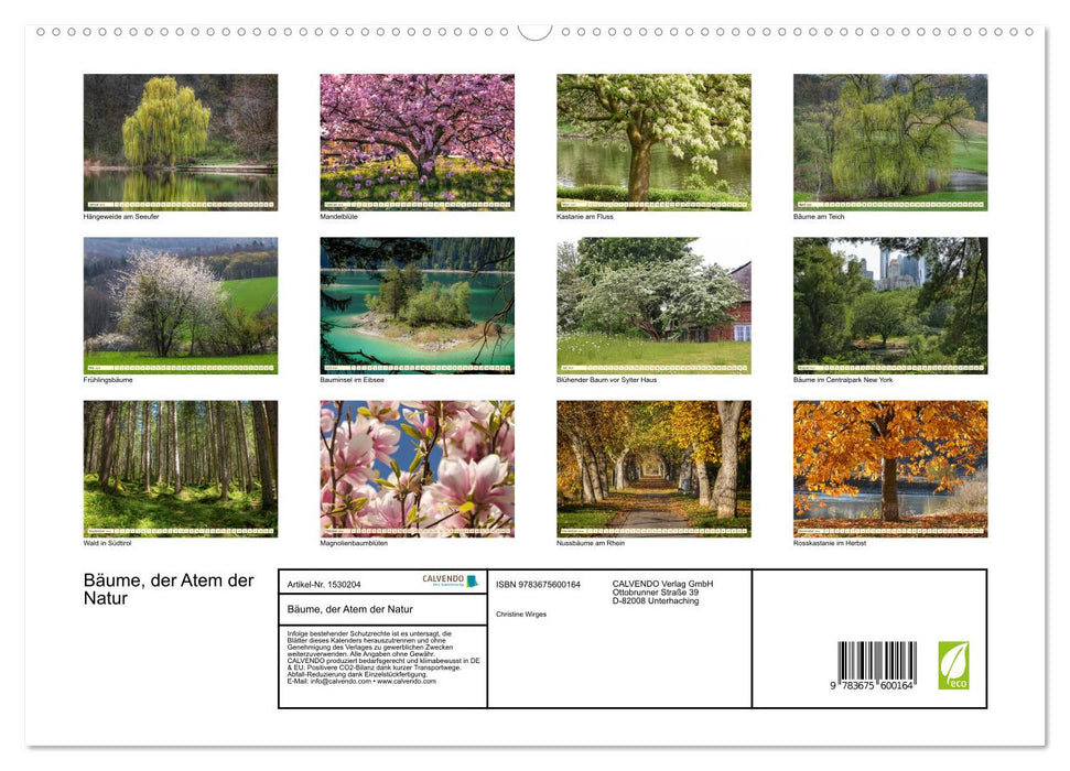 Bäume, der Atem der Natur (CALVENDO Premium Wandkalender 2024)