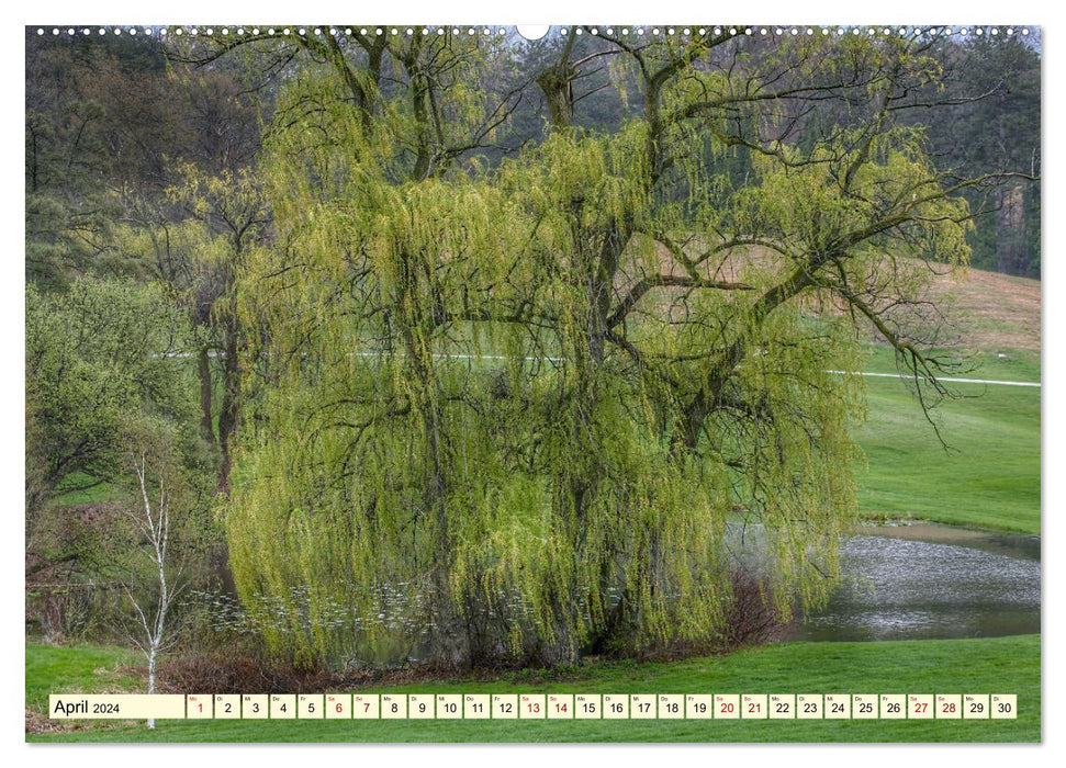 Trees, the breath of nature (CALVENDO Premium Wall Calendar 2024) 
