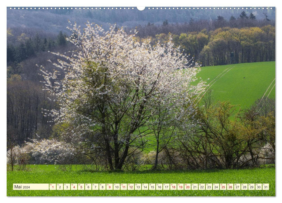 Bäume, der Atem der Natur (CALVENDO Premium Wandkalender 2024)