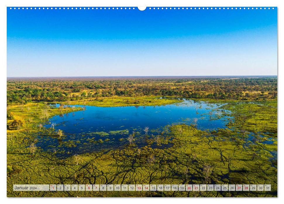 Okavango! Atemberaubende Naturschönheit im größten Binnendelta der Welt (CALVENDO Premium Wandkalender 2024)