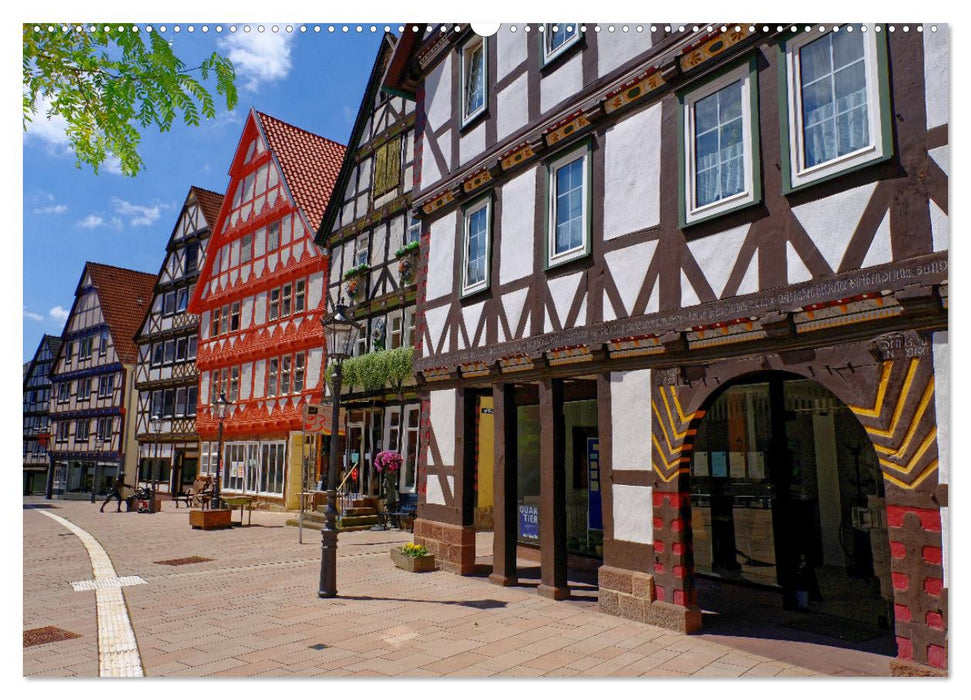 Hofgeismar - Sleeping Beauty City and half-timbered houses (CALVENDO wall calendar 2024) 