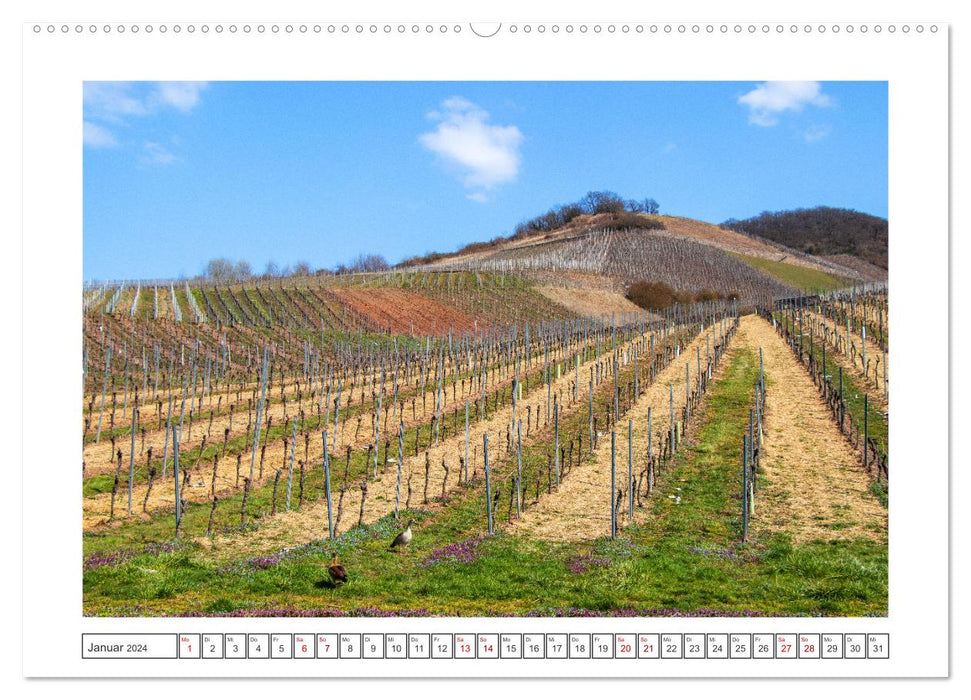 The Moselle awakens from its hibernation (CALVENDO wall calendar 2024) 