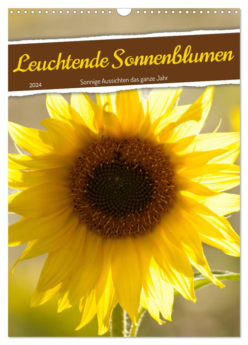 Bright sunflowers, sunny views all year round (CALVENDO wall calendar 2024) 