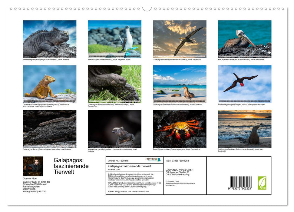 Die faszinierende Tierwelt der Galapagos-Inseln (CALVENDO Premium Wandkalender 2024)