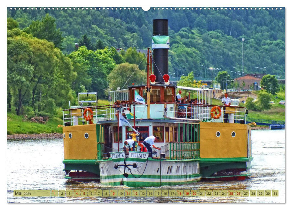 Side wheel steamer - In Saxony from Königstein to Bad Schandau (CALVENDO Premium Wall Calendar 2024) 