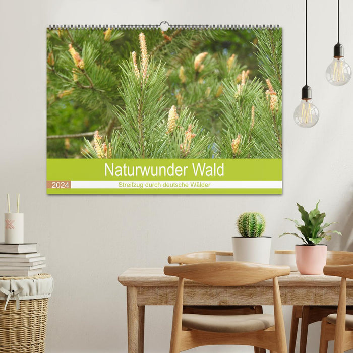 Naturwunder Wald (CALVENDO Wandkalender 2024)