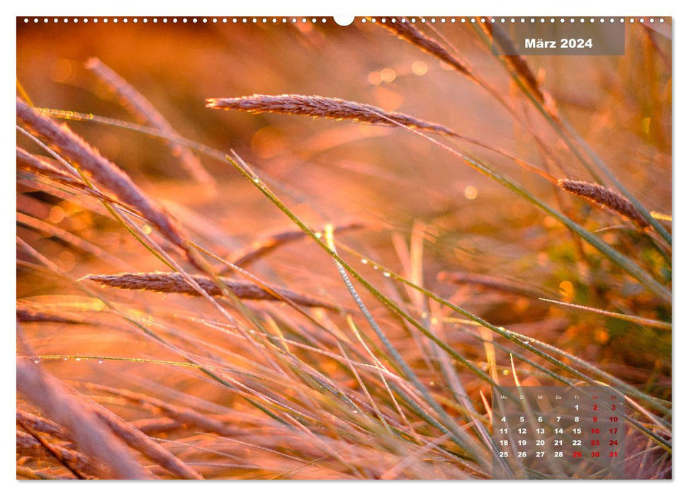 feeling Sylt (CALVENDO Wandkalender 2024)