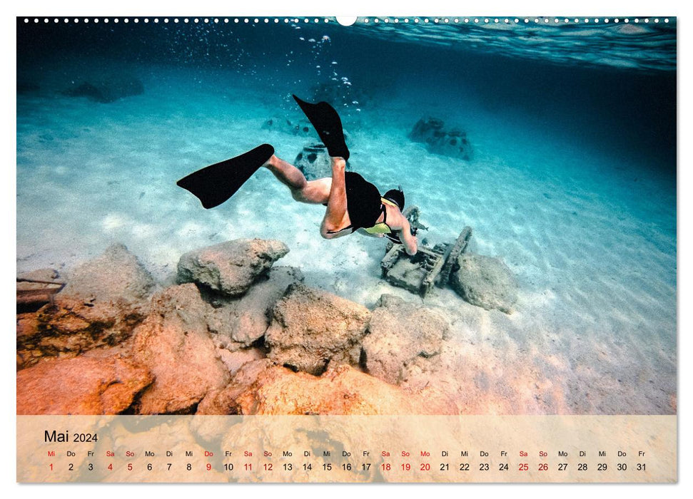 Erlebnis Tauchen - faszinierende Unterwasserwelt (CALVENDO Wandkalender 2024)