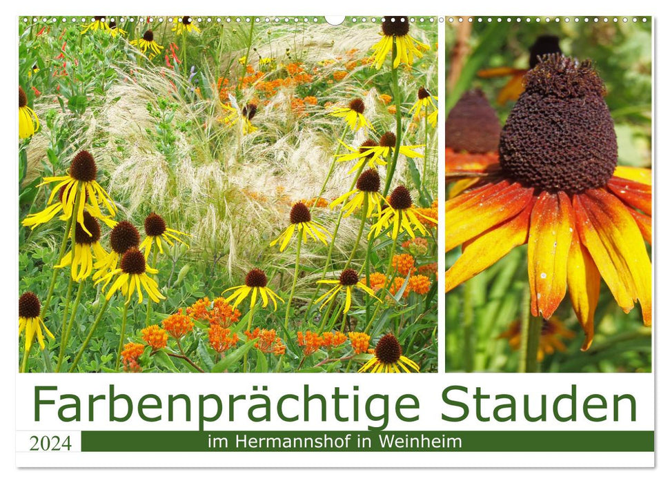 Farbenprächtige Stauden im Hermannshof in Weinheim (CALVENDO Wandkalender 2024)
