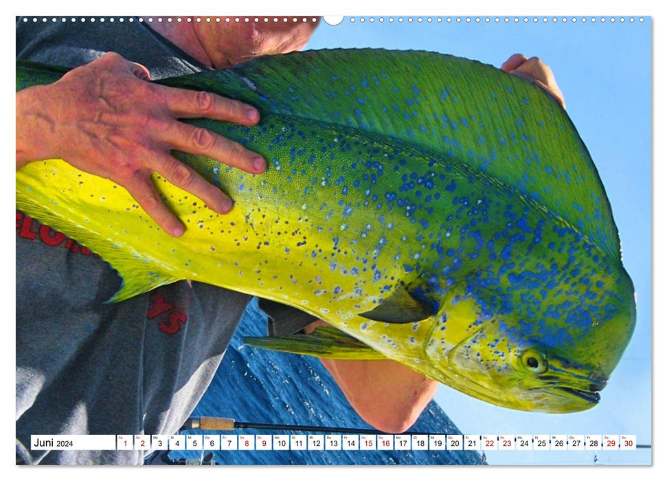 Anglerglück - den Fisch am Haken (CALVENDO Wandkalender 2024)