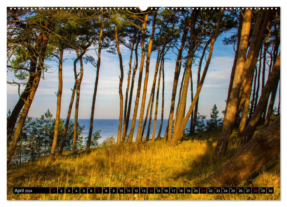 Erlebnis Ostseeküste - zwischen Wismarer Bucht und Darß (CALVENDO Wandkalender 2024)