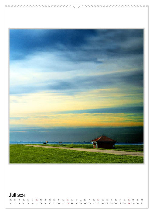 Stimmungsvolle Landschaften an der Nordseeküste (CALVENDO Premium Wandkalender 2024)