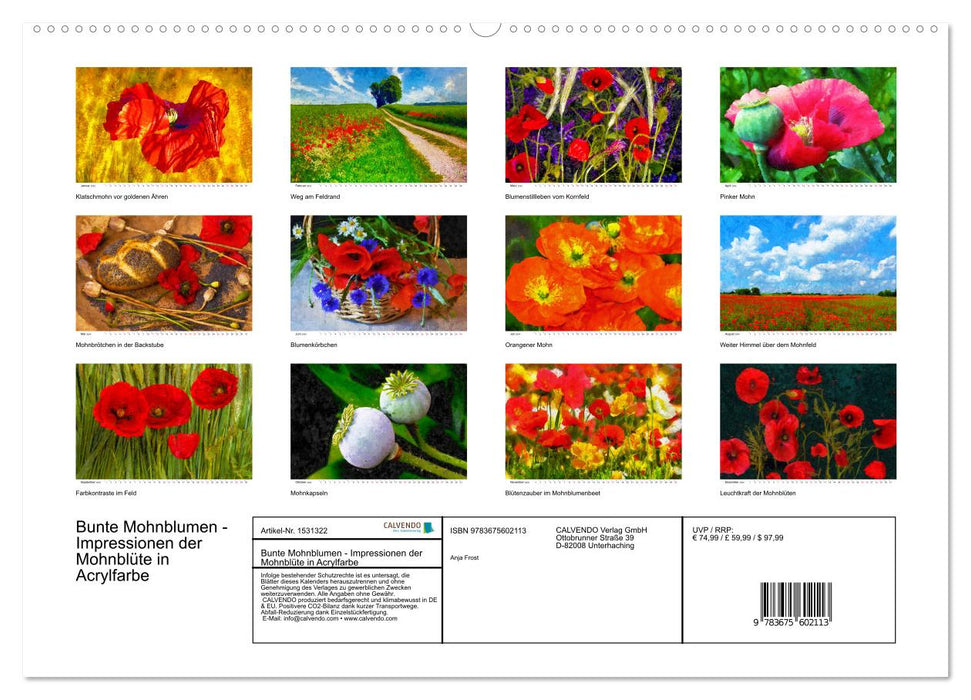 Bunte Mohnblumen - Impressionen der Mohnblüte in Acrylfarbe (CALVENDO Premium Wandkalender 2024)