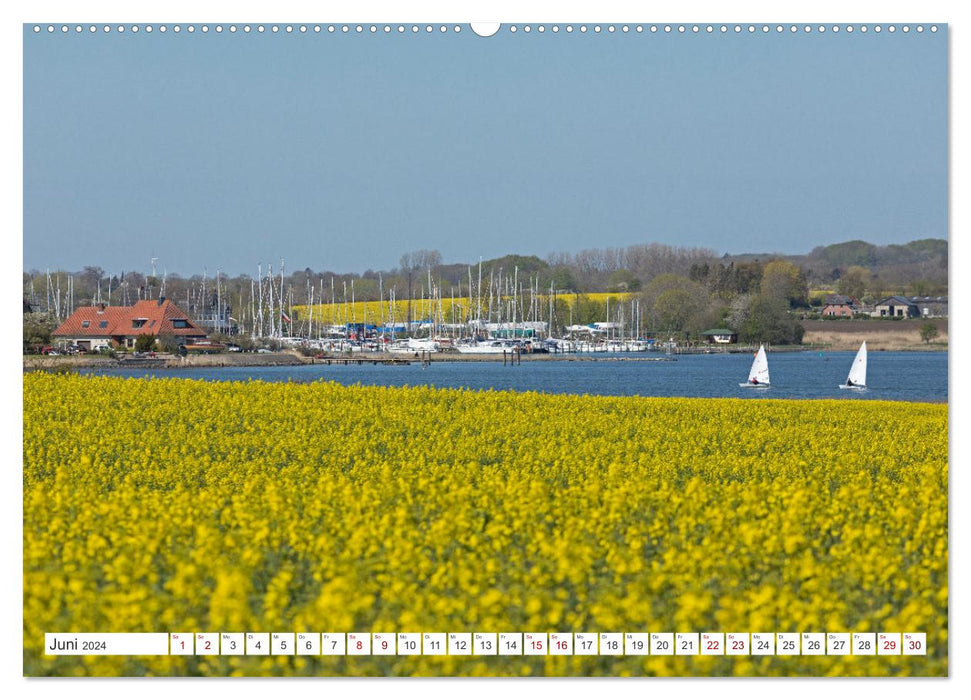 Die Schlei - Segelrevier und Naturpark (CALVENDO Premium Wandkalender 2024)