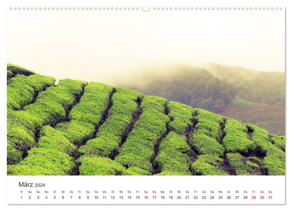 Malaysien - Eine Reise durch das zauberhafte Land. (CALVENDO Premium Wandkalender 2024)