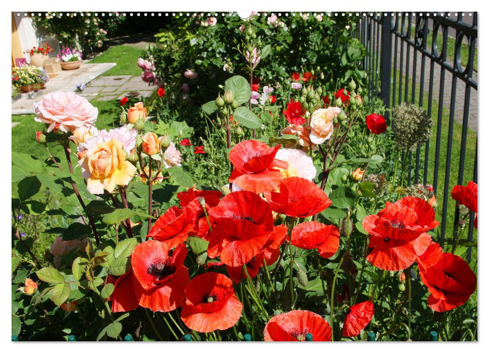 Urlaub im Garten (CALVENDO Wandkalender 2024)